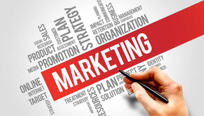 Du học Hà Lan ngành Marketing